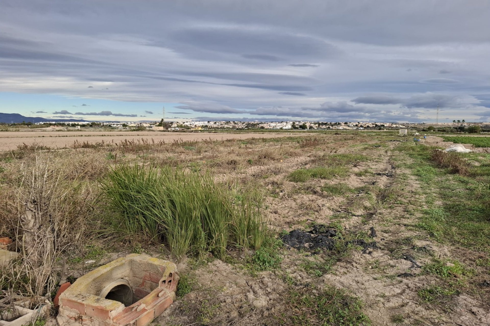 Sale - Plot - Guardamar del Segura - Guardamar pueblo