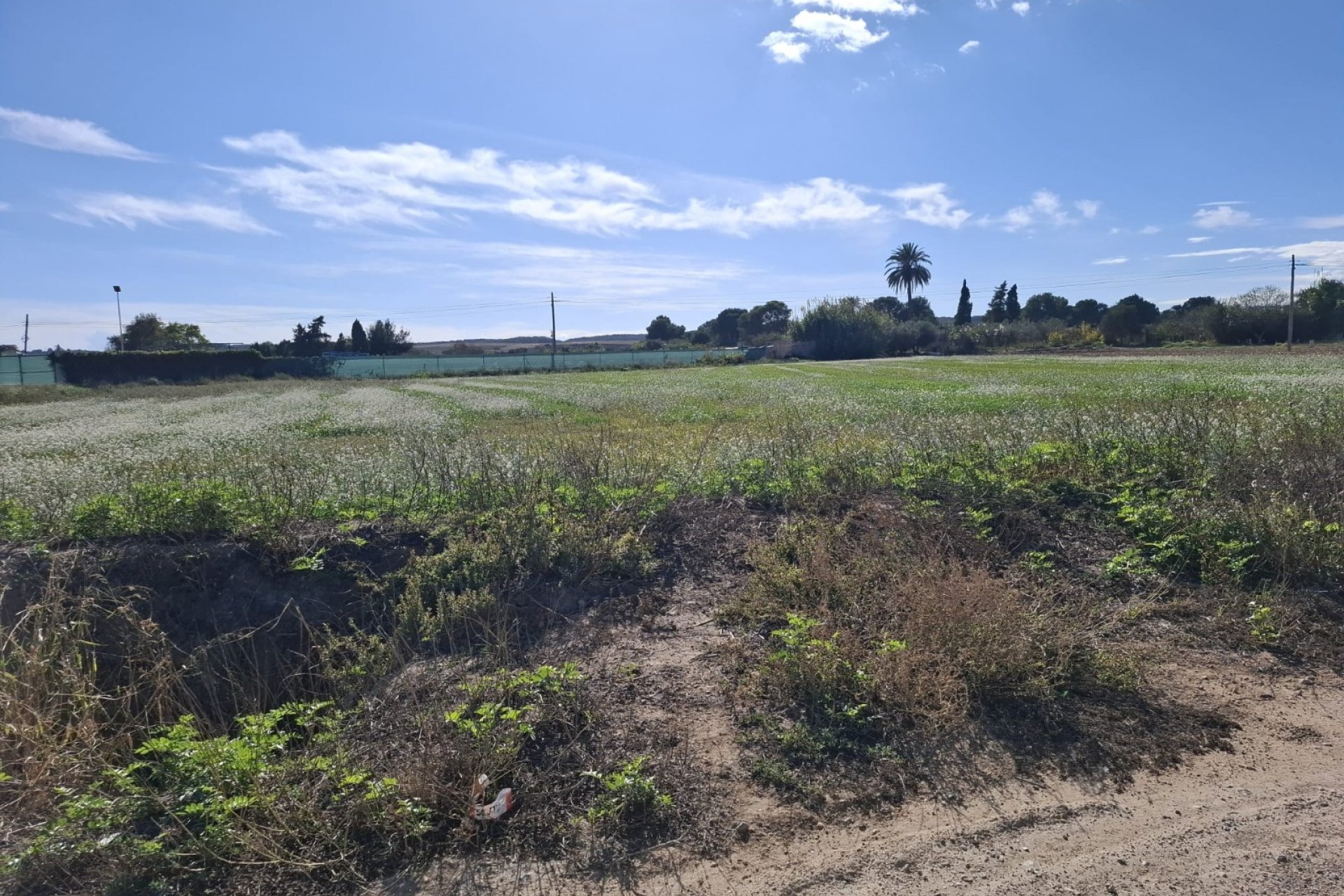 Sale - Plot - Guardamar del Segura - Guardamar pueblo