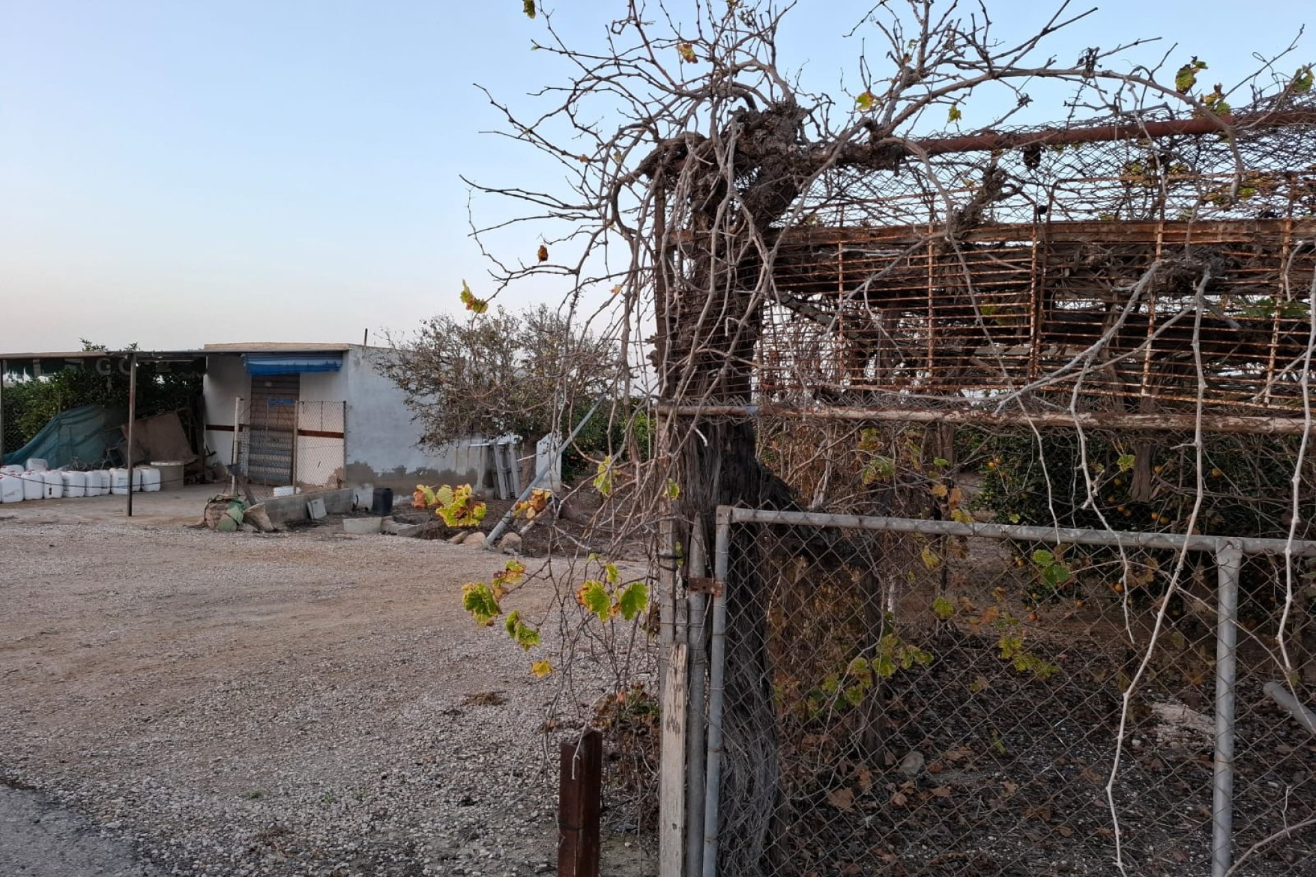 Sale - Plot - Guardamar del Segura