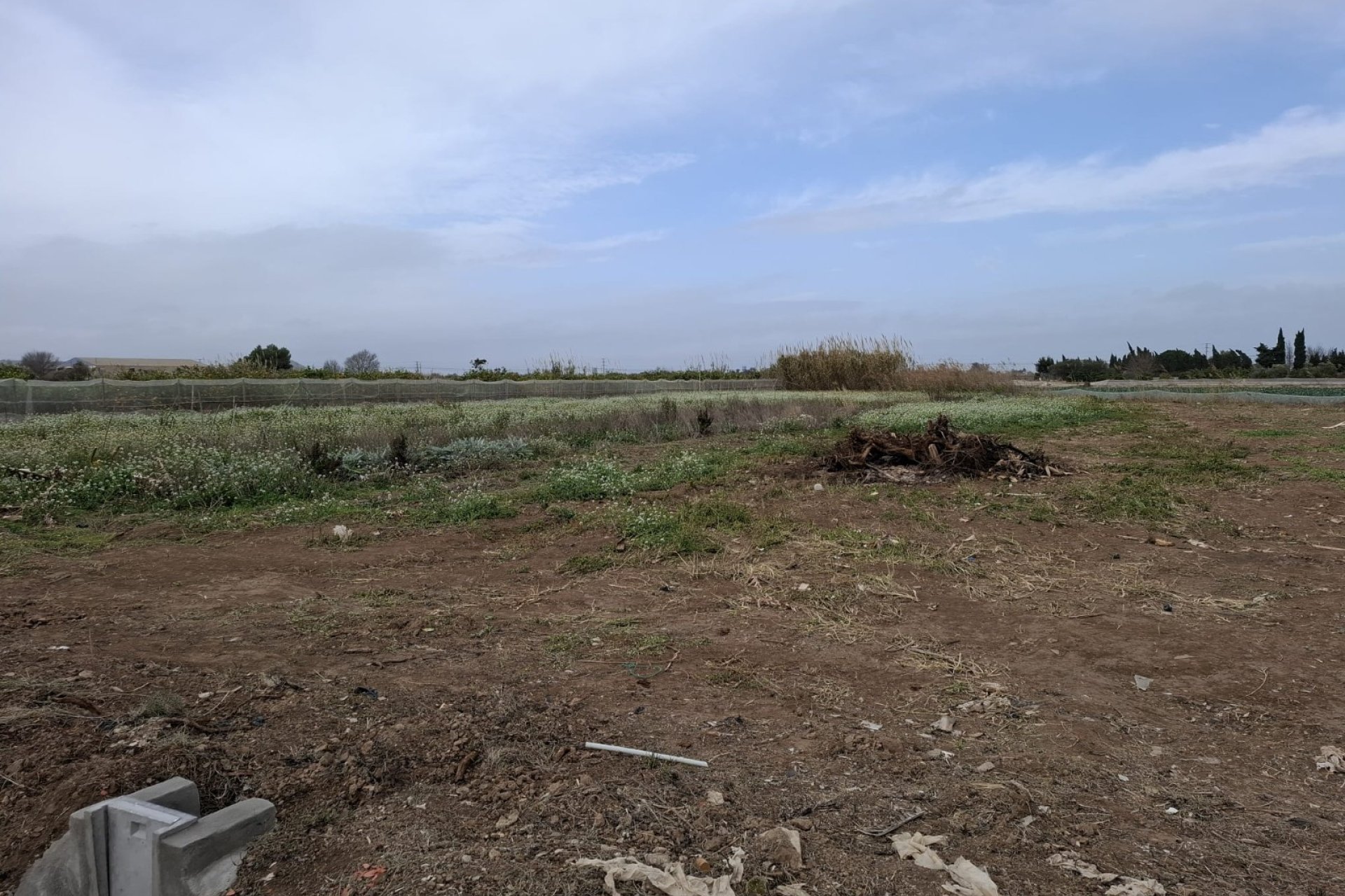 Sale - Plot - Guardamar del Segura