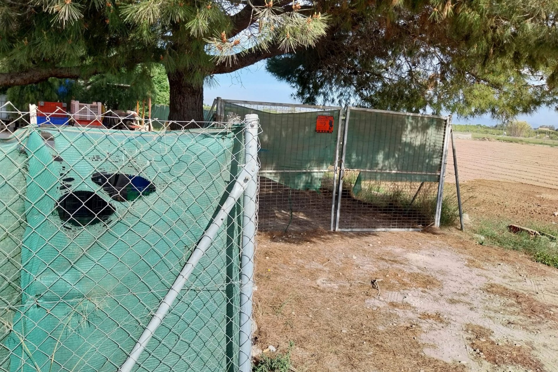 Sale - Plot - Guardamar del Segura