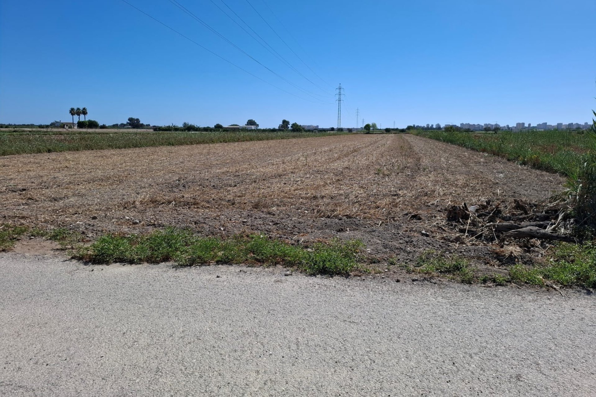 Sale - Plot - Guardamar del Segura