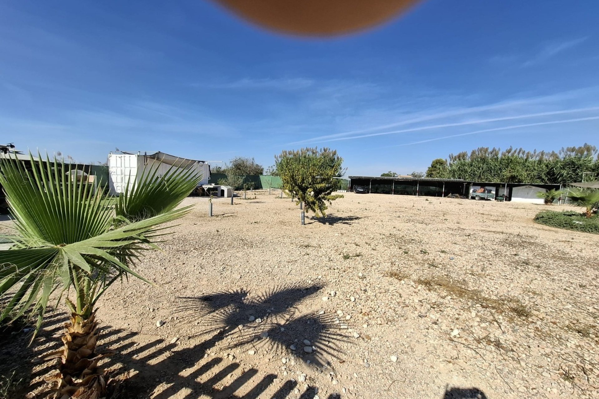 Sale - Plot - Guardamar del Segura