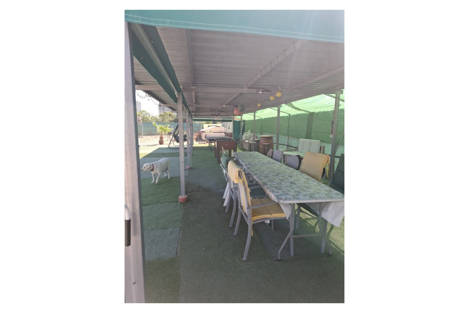 Sale - Plot - Guardamar del Segura