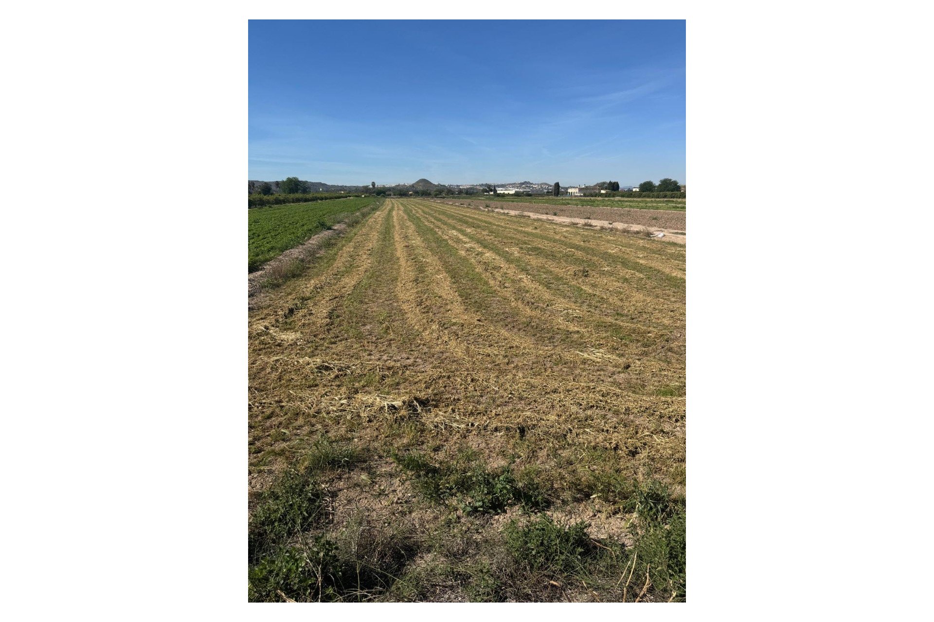 Sale - Plot - Guardamar del Segura