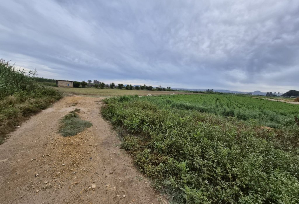 Sale - Plot - Guardamar del Segura