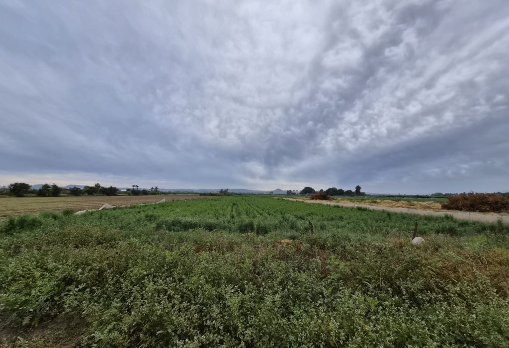 Sale - Plot - Guardamar del Segura