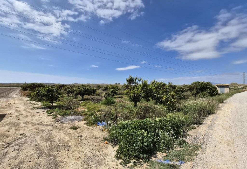 Sale - Plot - Guardamar del Segura
