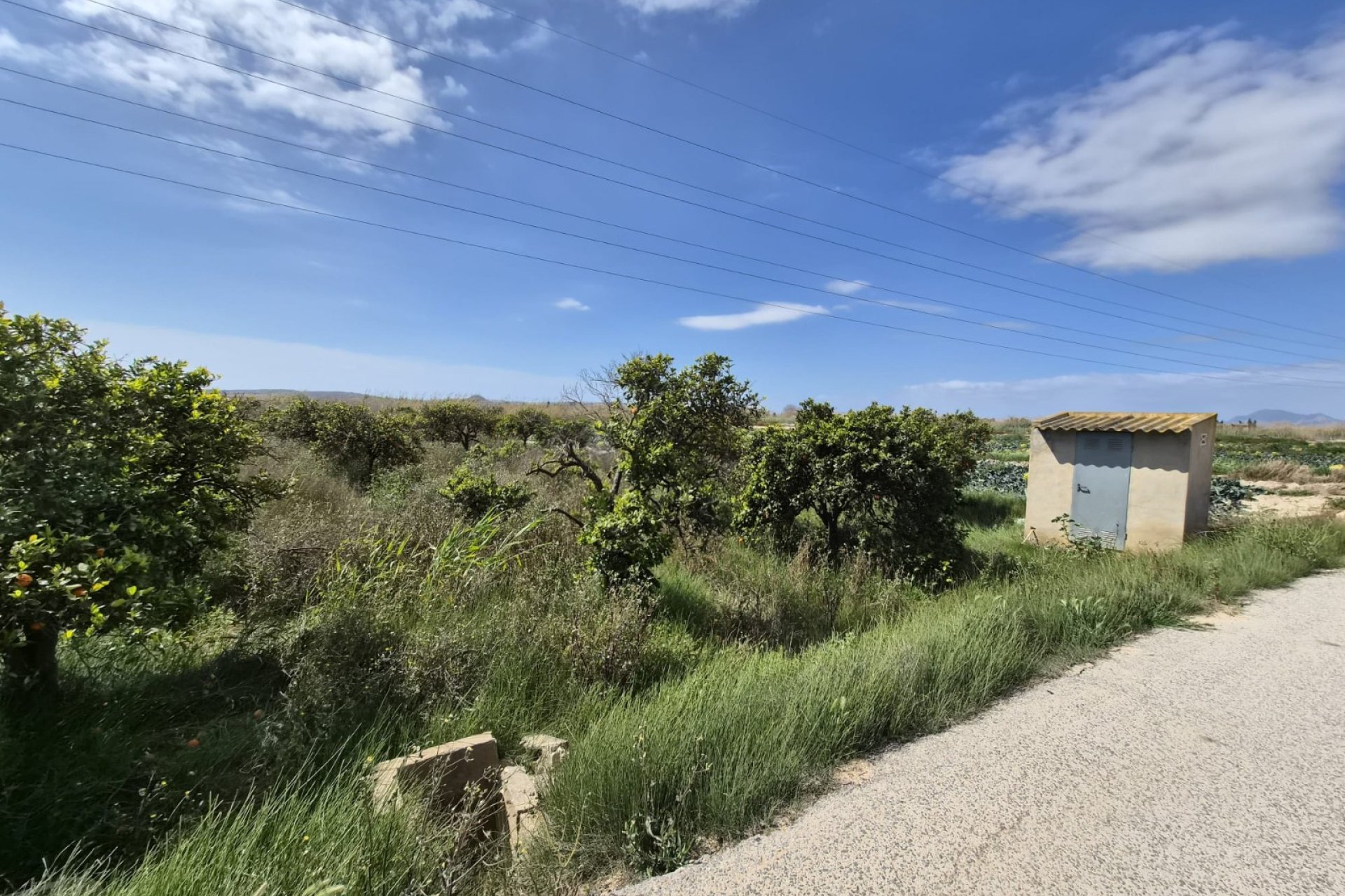 Sale - Plot - Guardamar del Segura