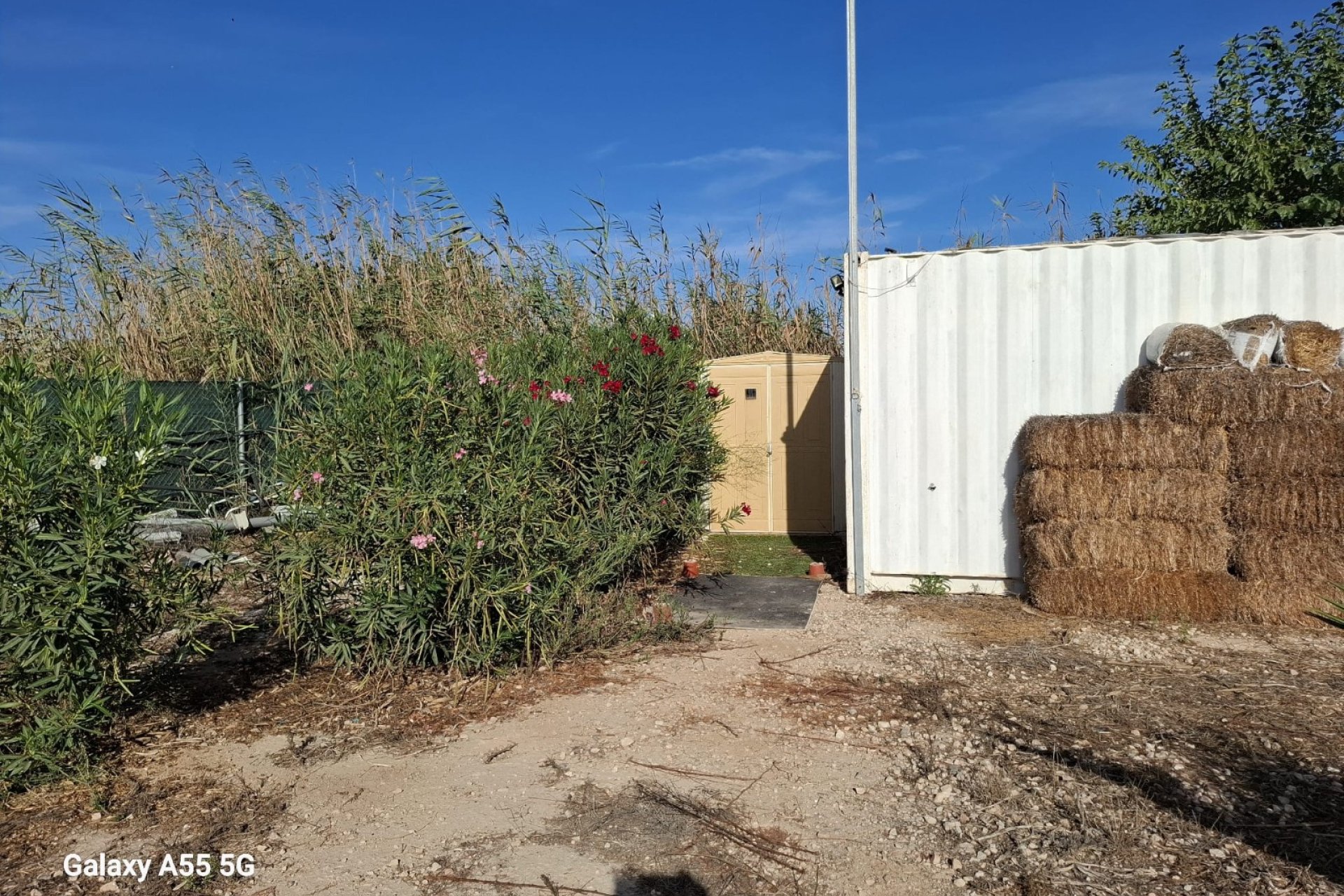 Sale - Plot - Guardamar del Segura