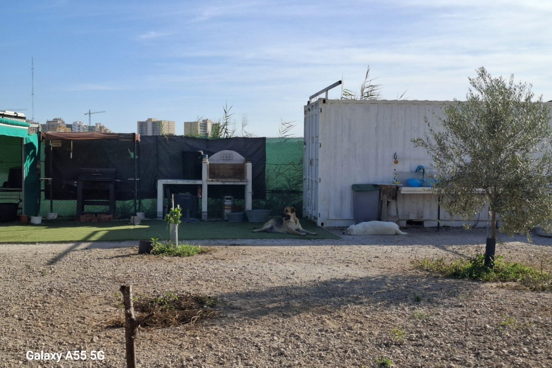 Sale - Plot - Guardamar del Segura