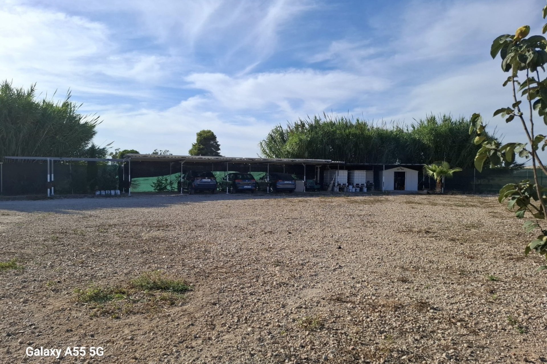 Sale - Plot - Guardamar del Segura