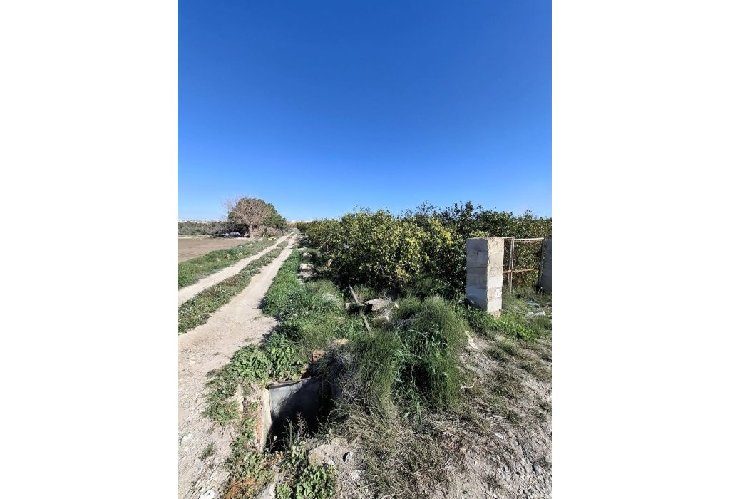 Sale - Plot - San Fulgencio