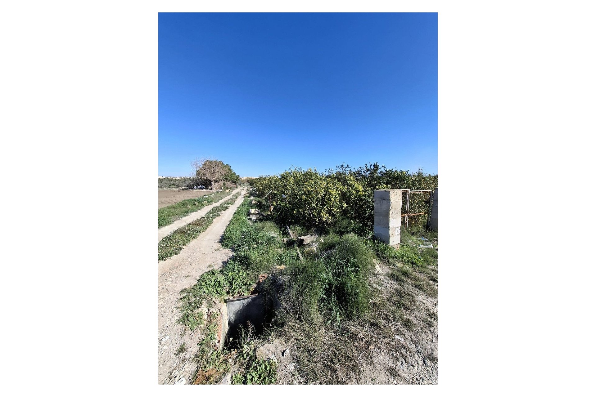 Sale - Plot - San Fulgencio