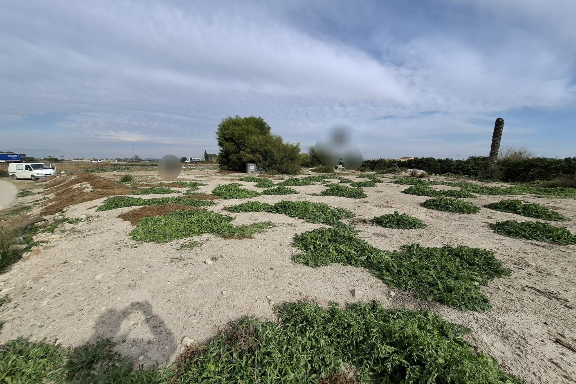 Sale - Plot - San Fulgencio
