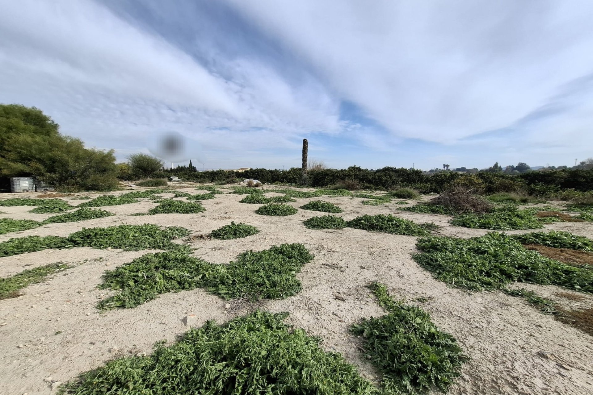 Sale - Plot - San Fulgencio