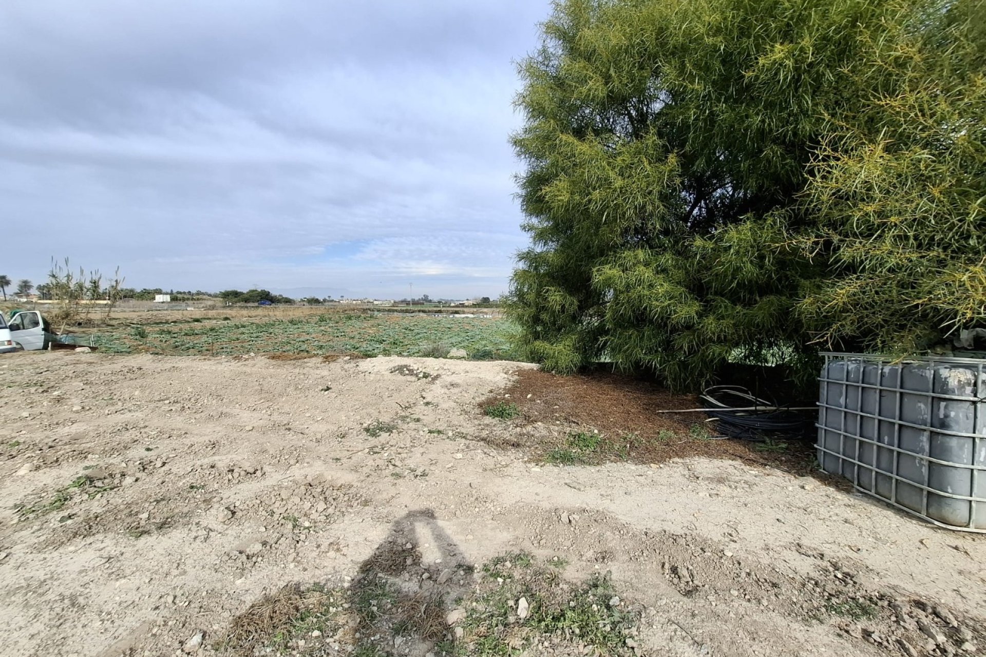Sale - Plot - San Fulgencio