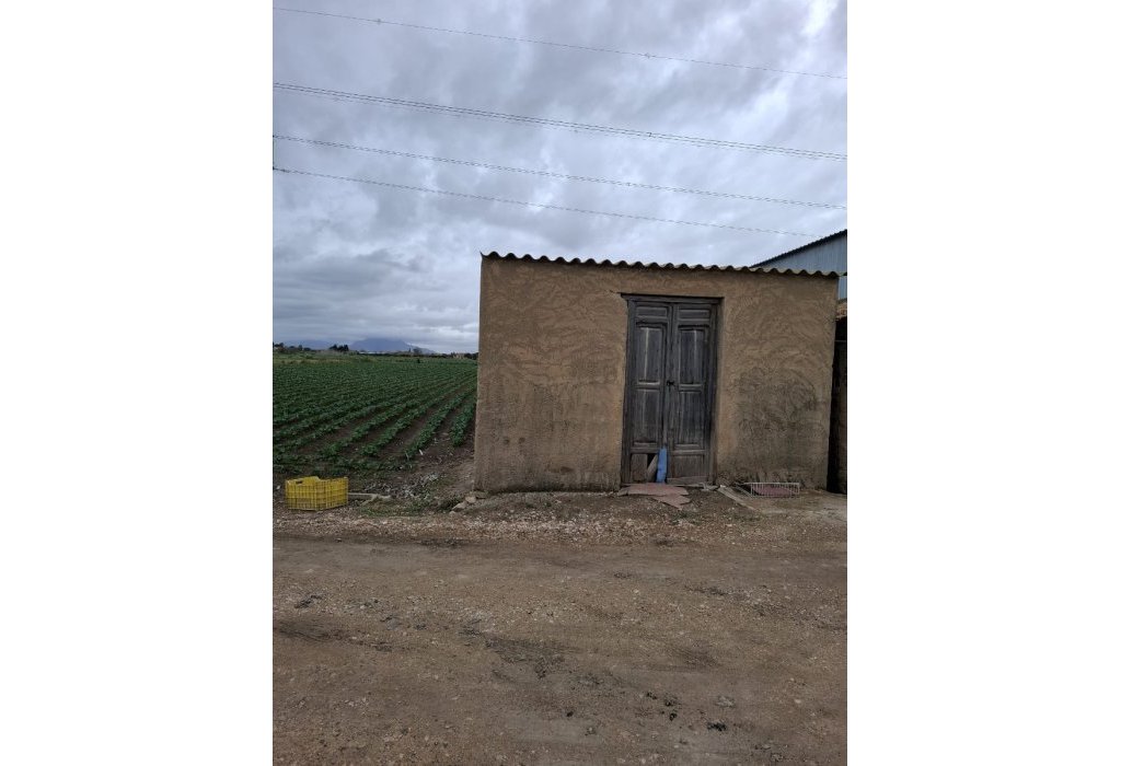 Sale - Plot - San Fulgencio