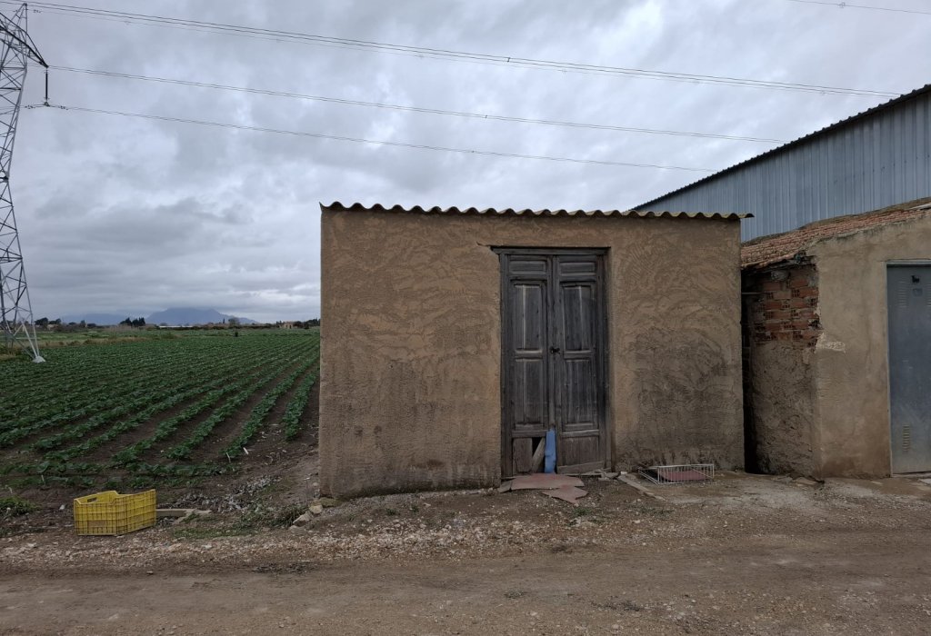 Sale - Plot - San Fulgencio