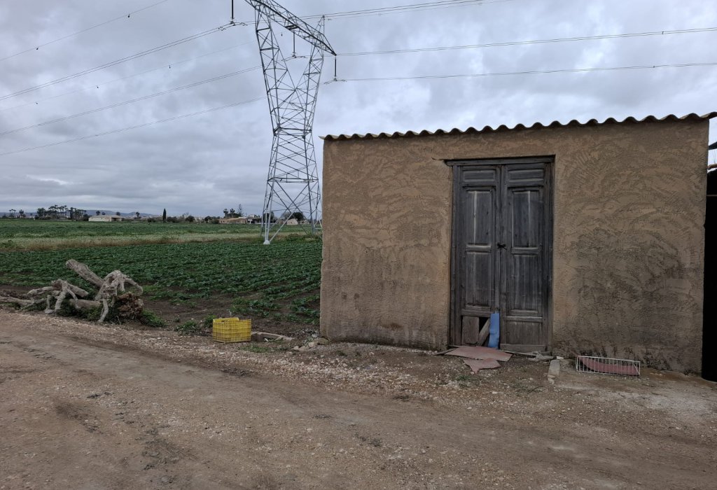 Sale - Plot - San Fulgencio