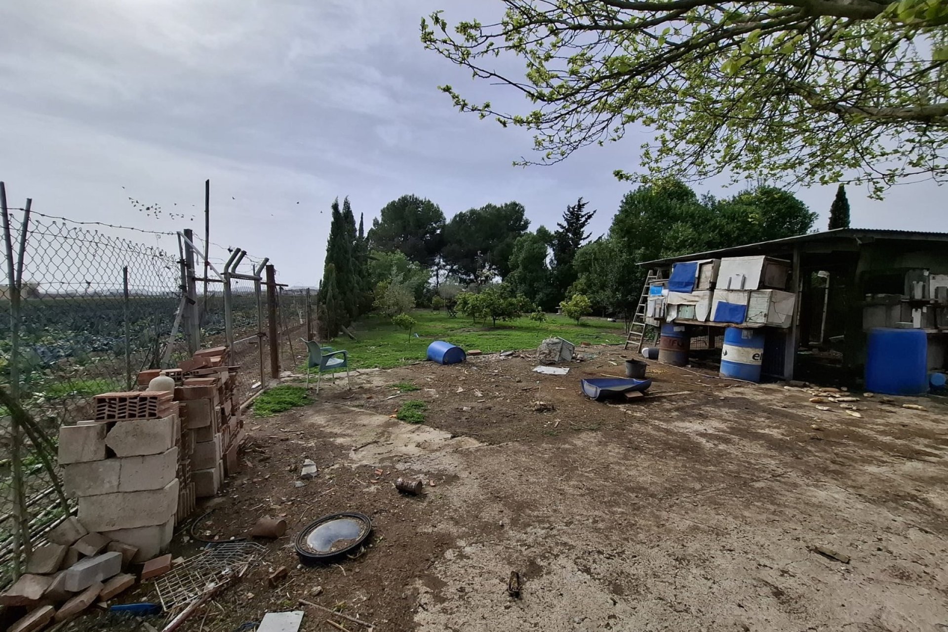 Sale - Town house - Guardamar del Segura - Guardamar pueblo