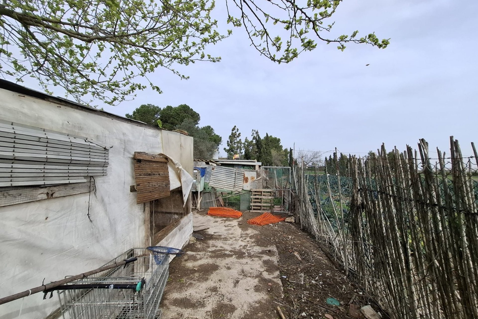 Sale - Town house - Guardamar del Segura - Guardamar pueblo