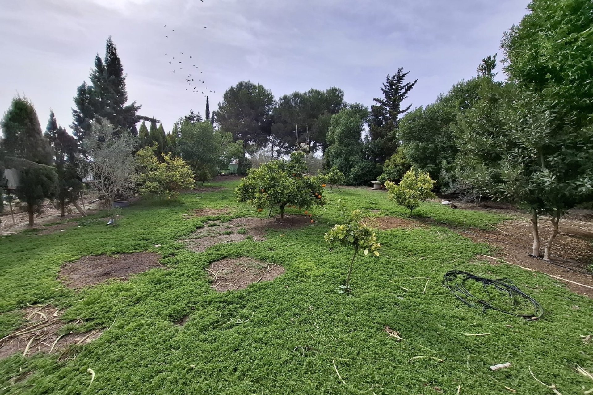 Sale - Town house - Guardamar del Segura - Guardamar pueblo