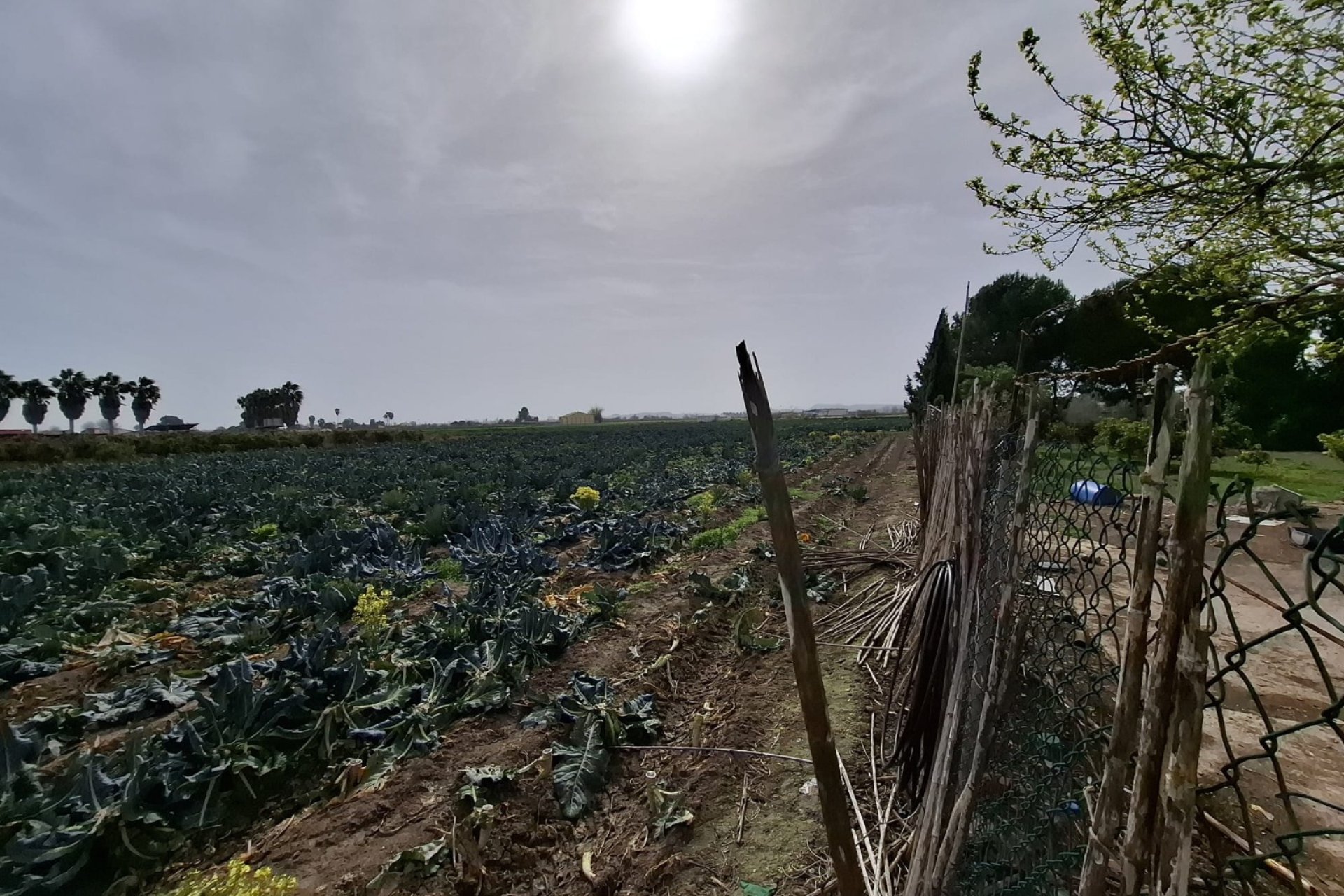 Sale - Town house - Guardamar del Segura - Guardamar pueblo