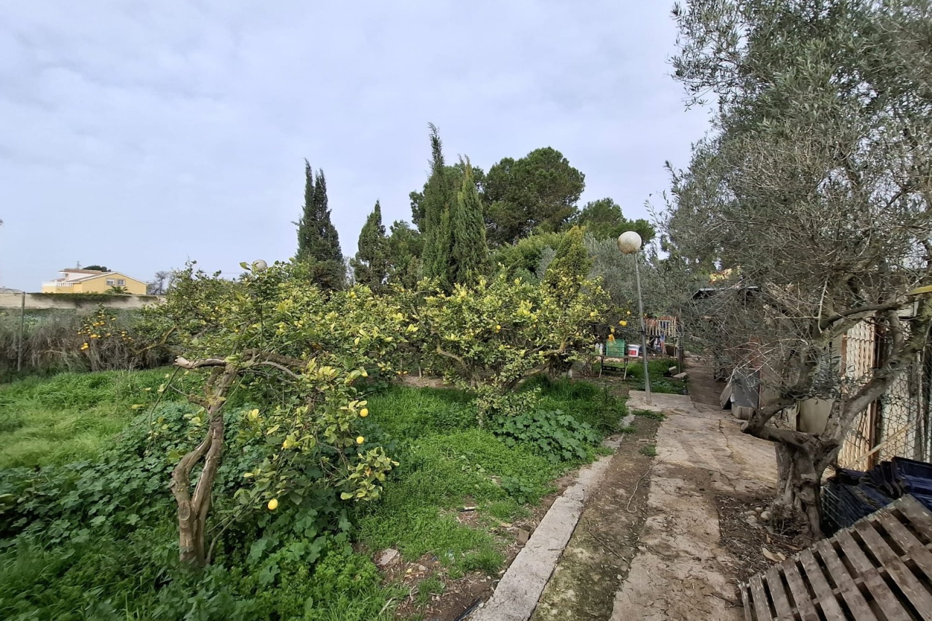 Sale - Town house - Guardamar del Segura - Guardamar pueblo