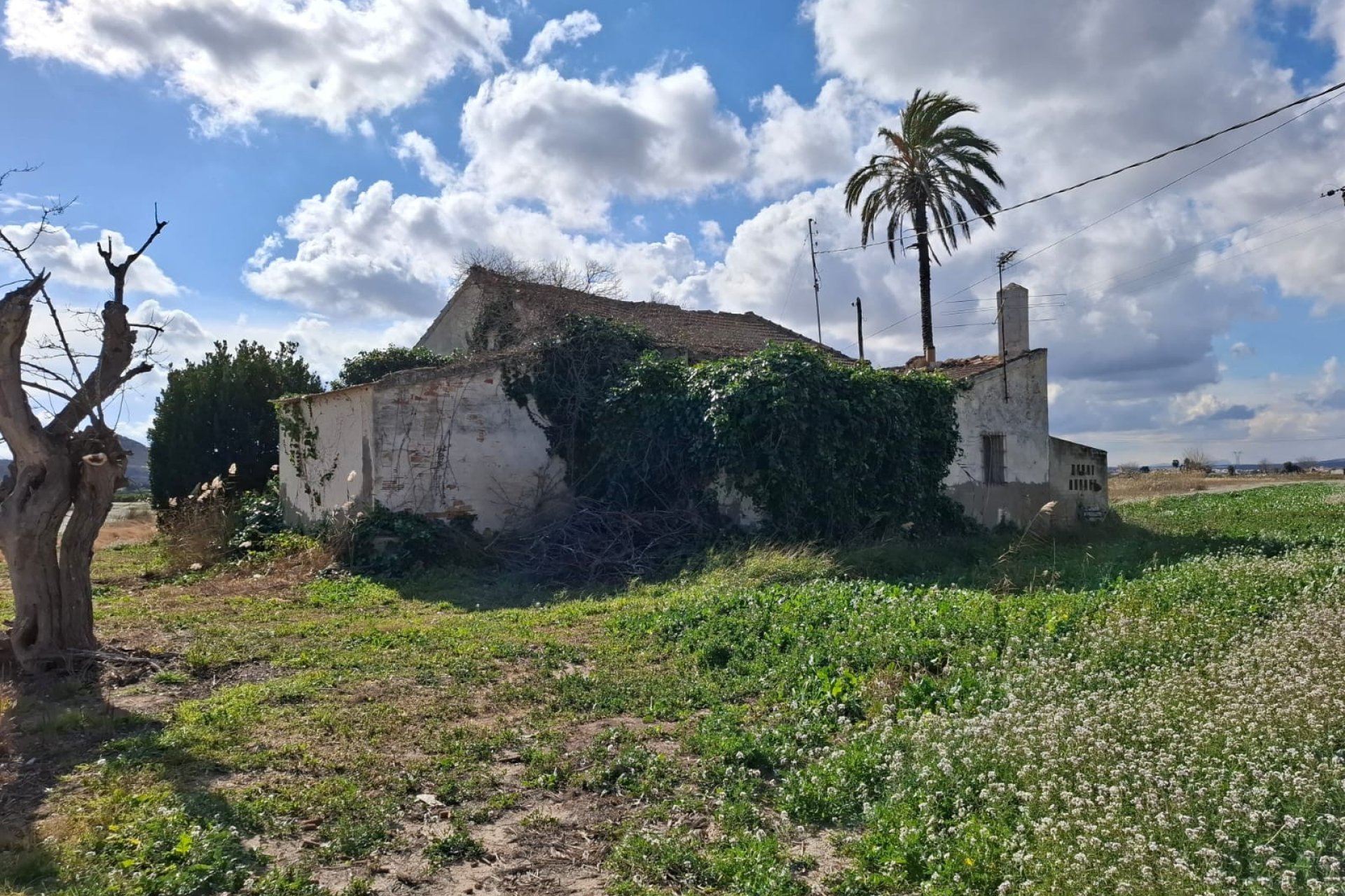 Sale - Townhouse - Rojales - Ciudad Quesada