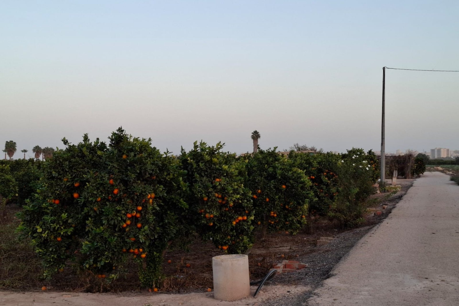 Sale - Verhaallijn - Guardamar del Segura - Guardamar Playa