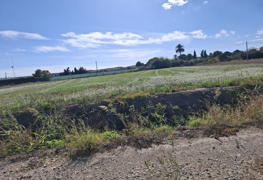 Sale - Verhaallijn - Guardamar del Segura - Guardamar pueblo