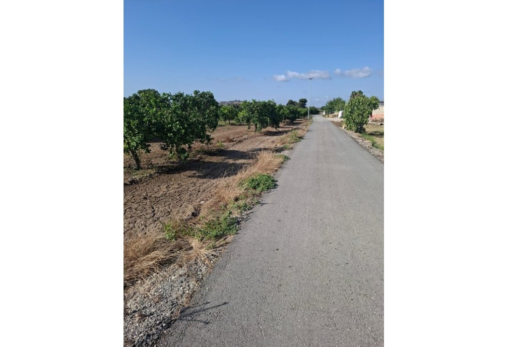 Sale - Verhaallijn - Rojales - Ciudad Quesada