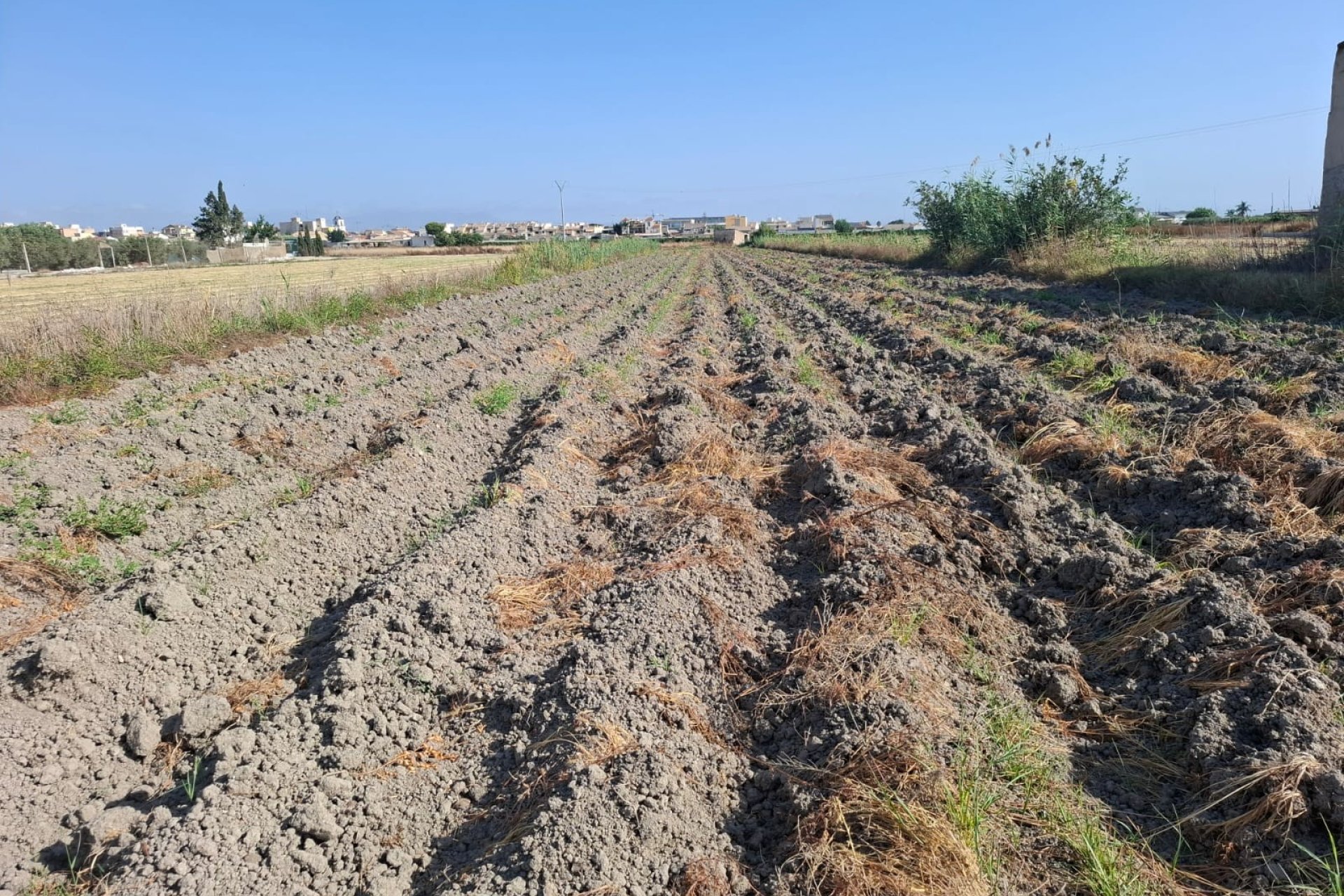 Sale - Verhaallijn - Rojales - Ciudad Quesada