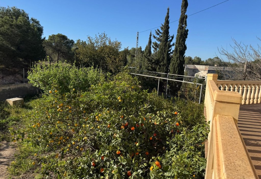 Sale - Villa - Elche Pedanías - La Marina
