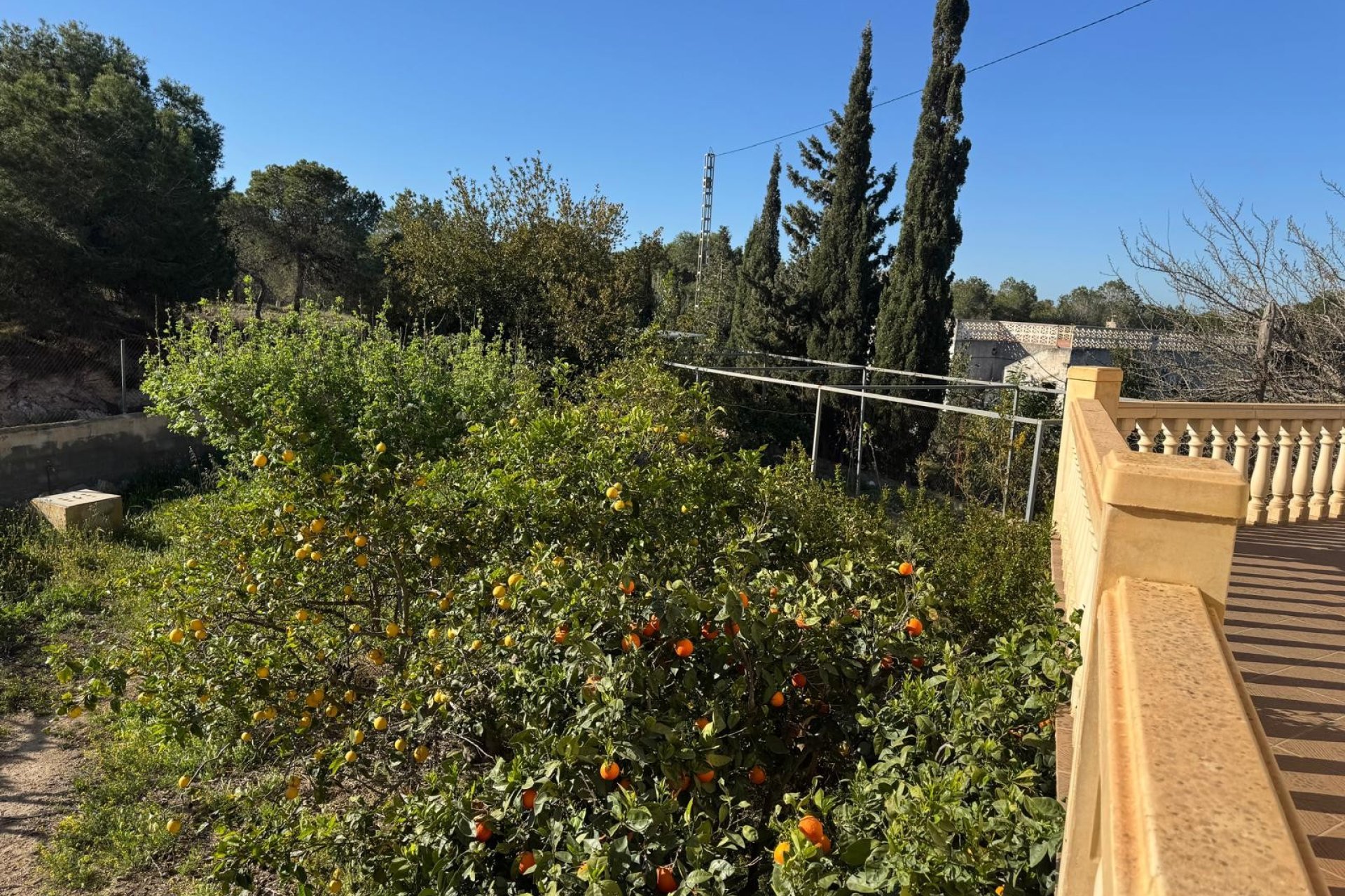 Sale - Villa - Elche Pedanías - La Marina