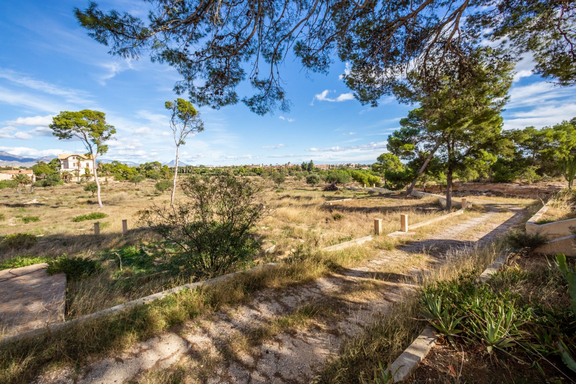 Sale - Villa - San Juan - San Juan de Alicante