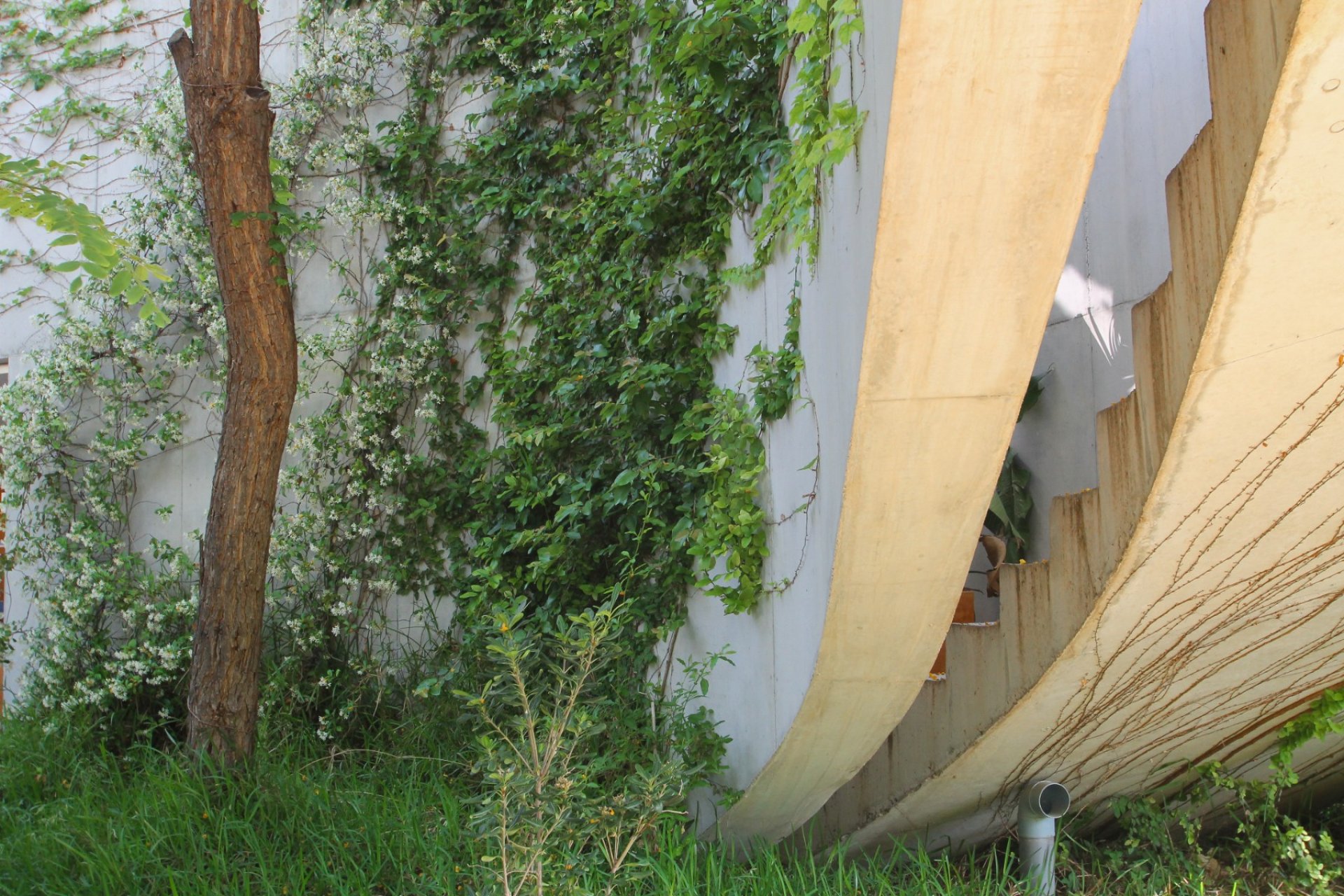 Sale - Villa - San Vicente del Raspeig