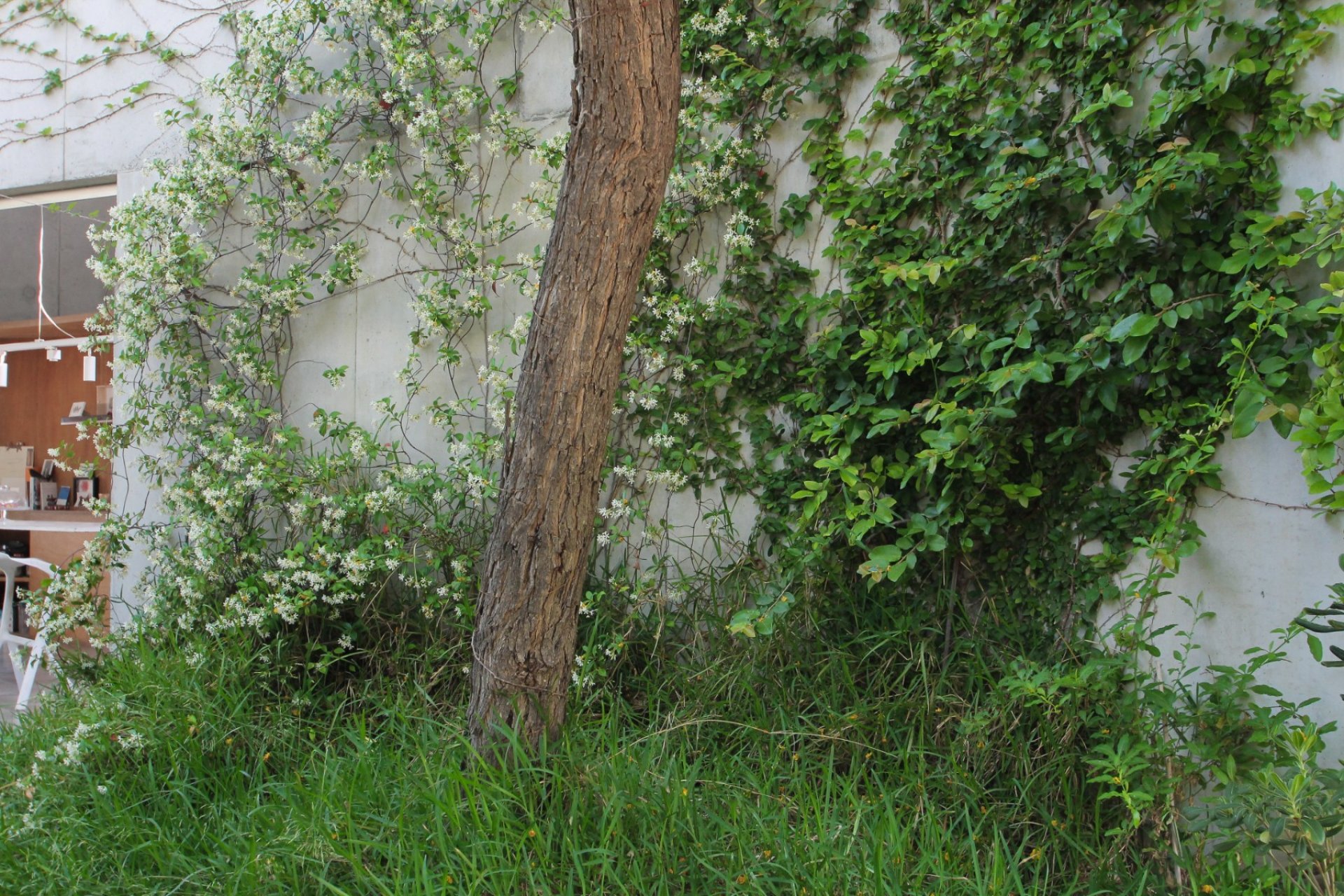 Sale - Villa - San Vicente del Raspeig