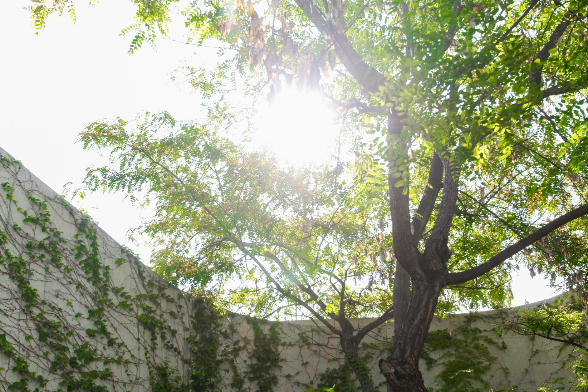 Sale - Villa - San Vicente del Raspeig