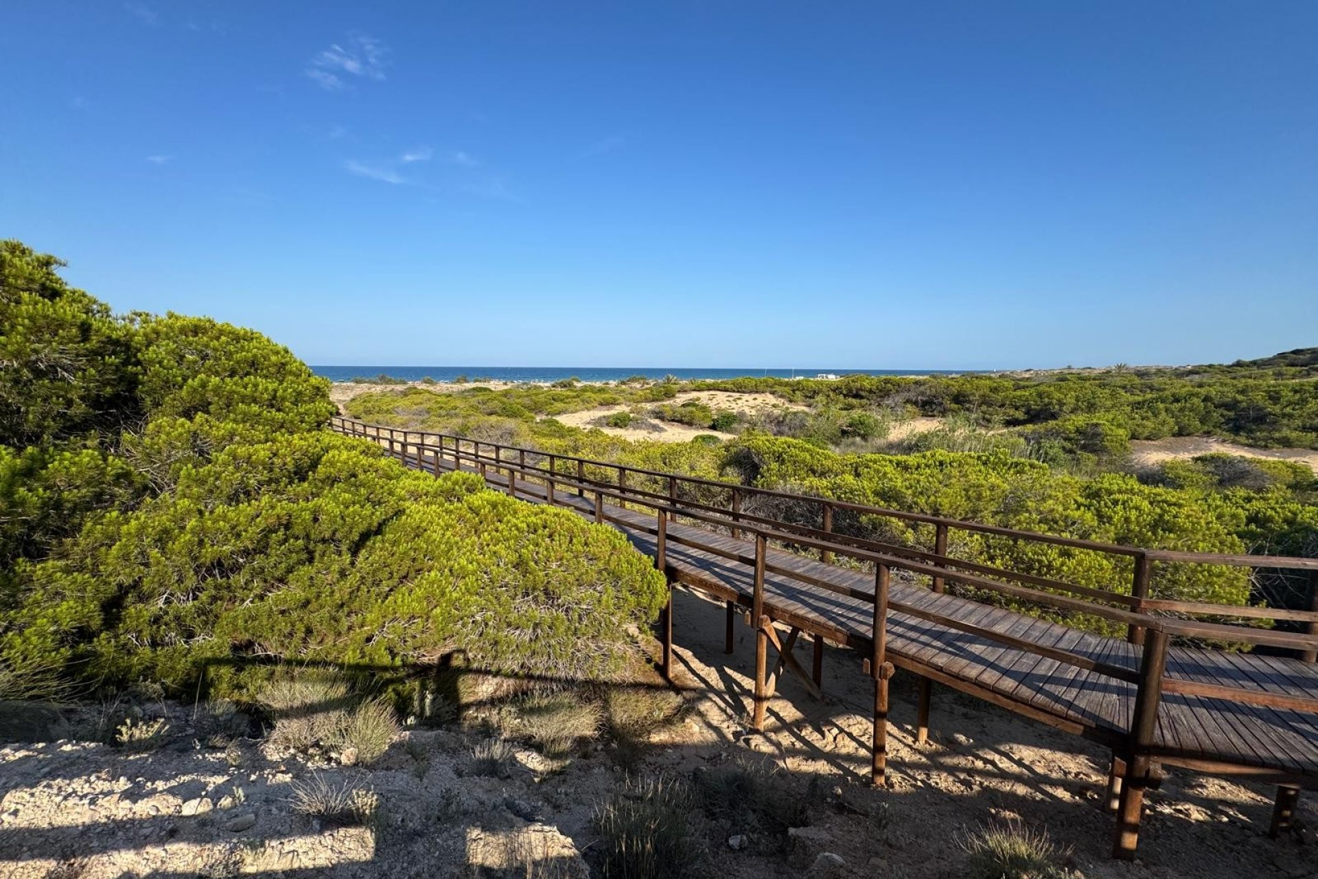 Sale - Wohnung - Arenales del Sol - Arenales