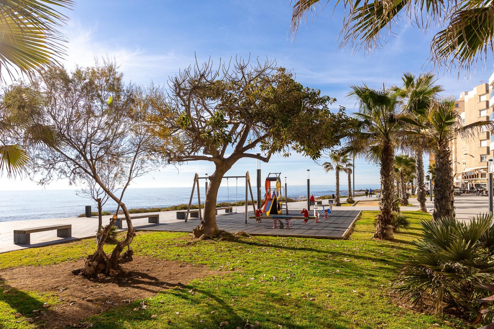 Sale - Wohnung - Torrevieja - Parque de Las Naciones