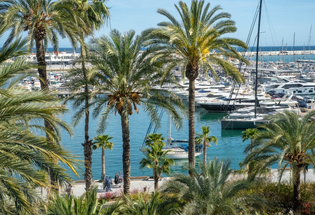 Venta - Apartamento - Alicante - Center