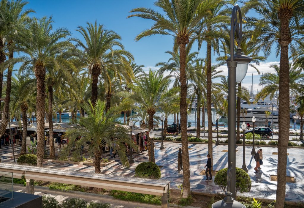 Venta - Apartamento - Alicante - Center