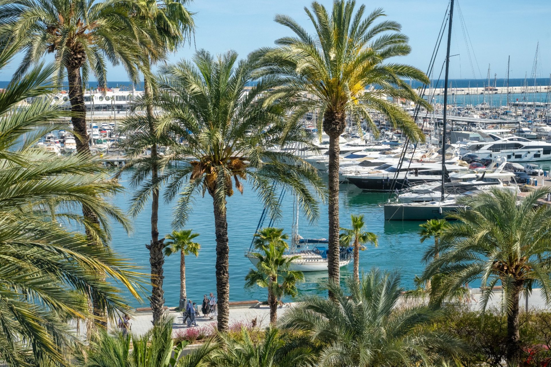 Venta - Apartamento - Alicante - - Centro  -