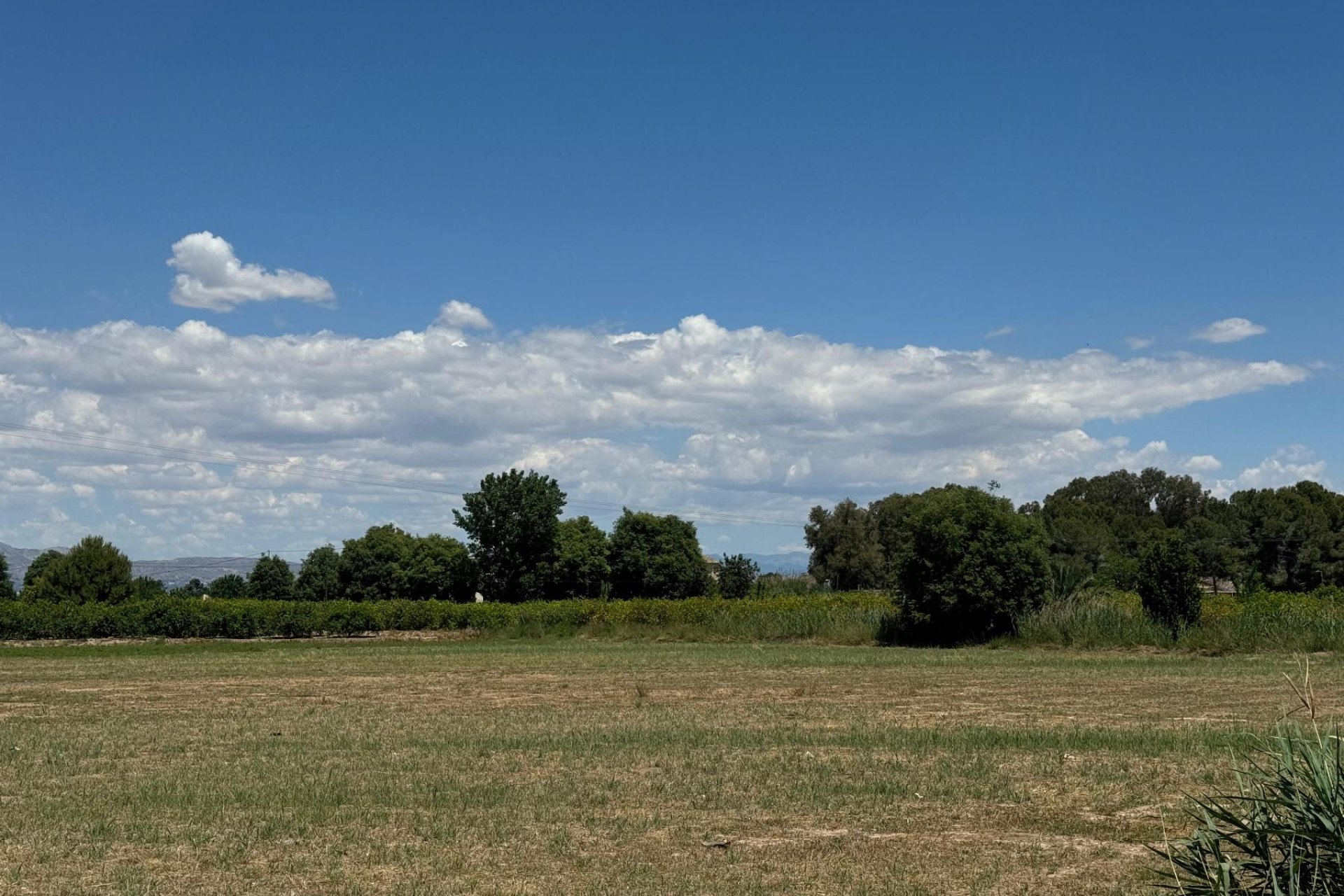 Venta - Apartamento - Almoradí