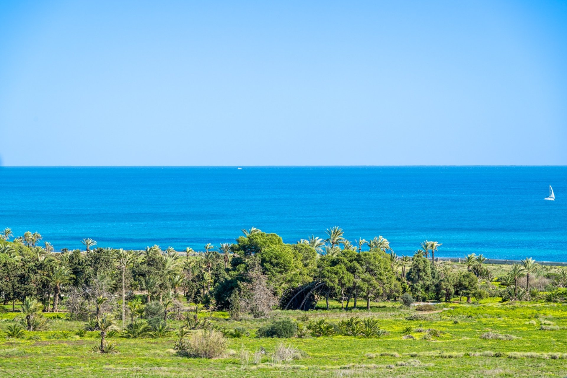 Venta - Apartamento - Orihuela Costa - Punta Prima