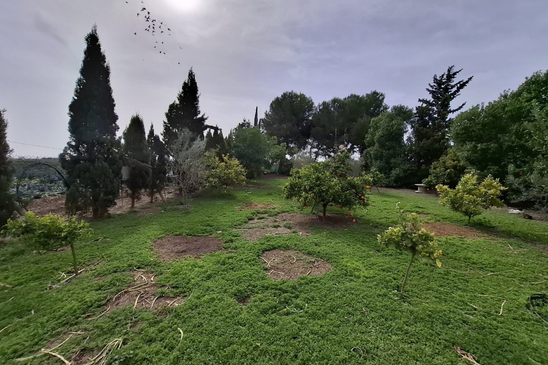 Venta - Bungalow - Guardamar del Segura