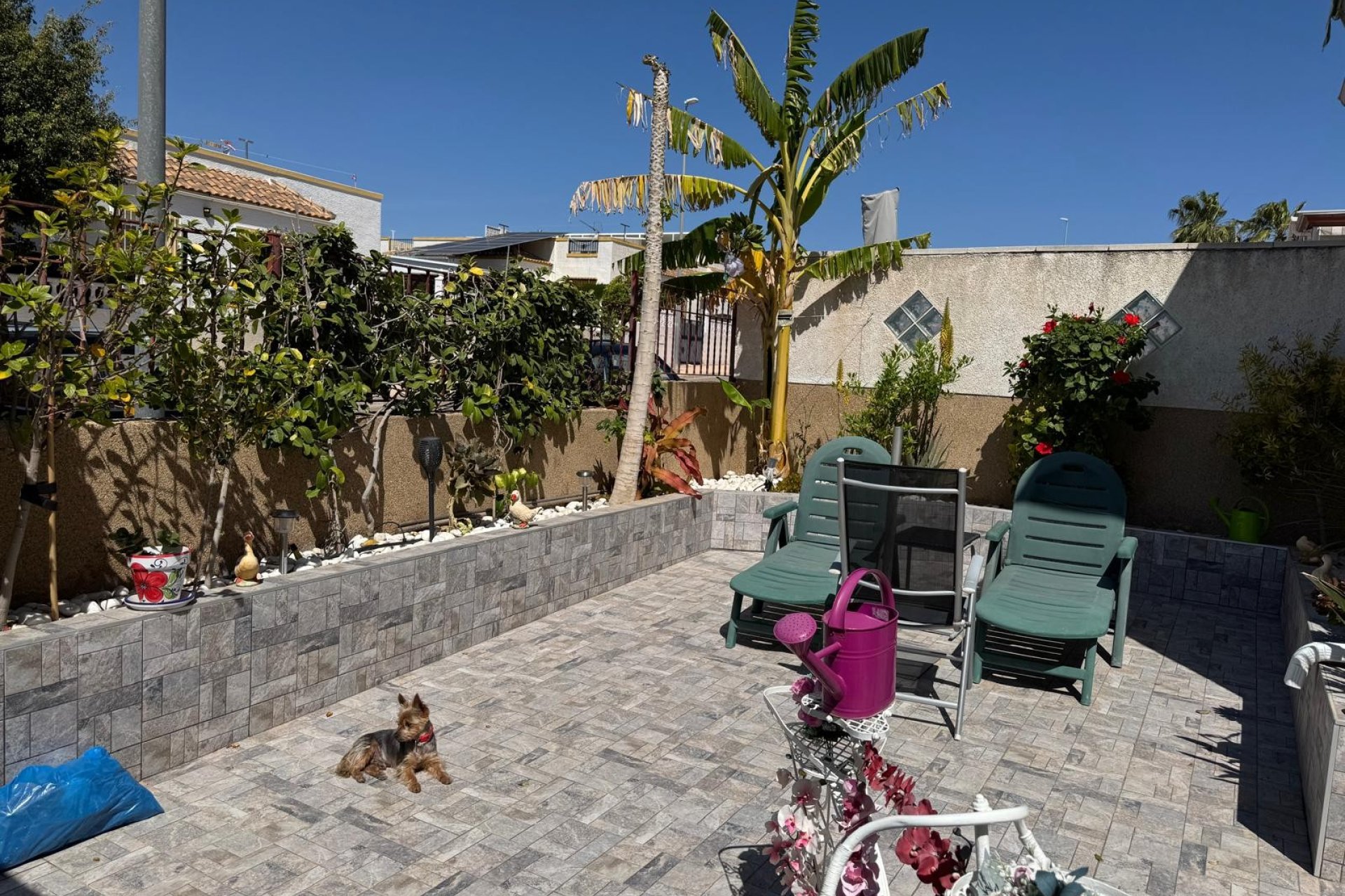 Venta - Bungalow - San Fulgencio