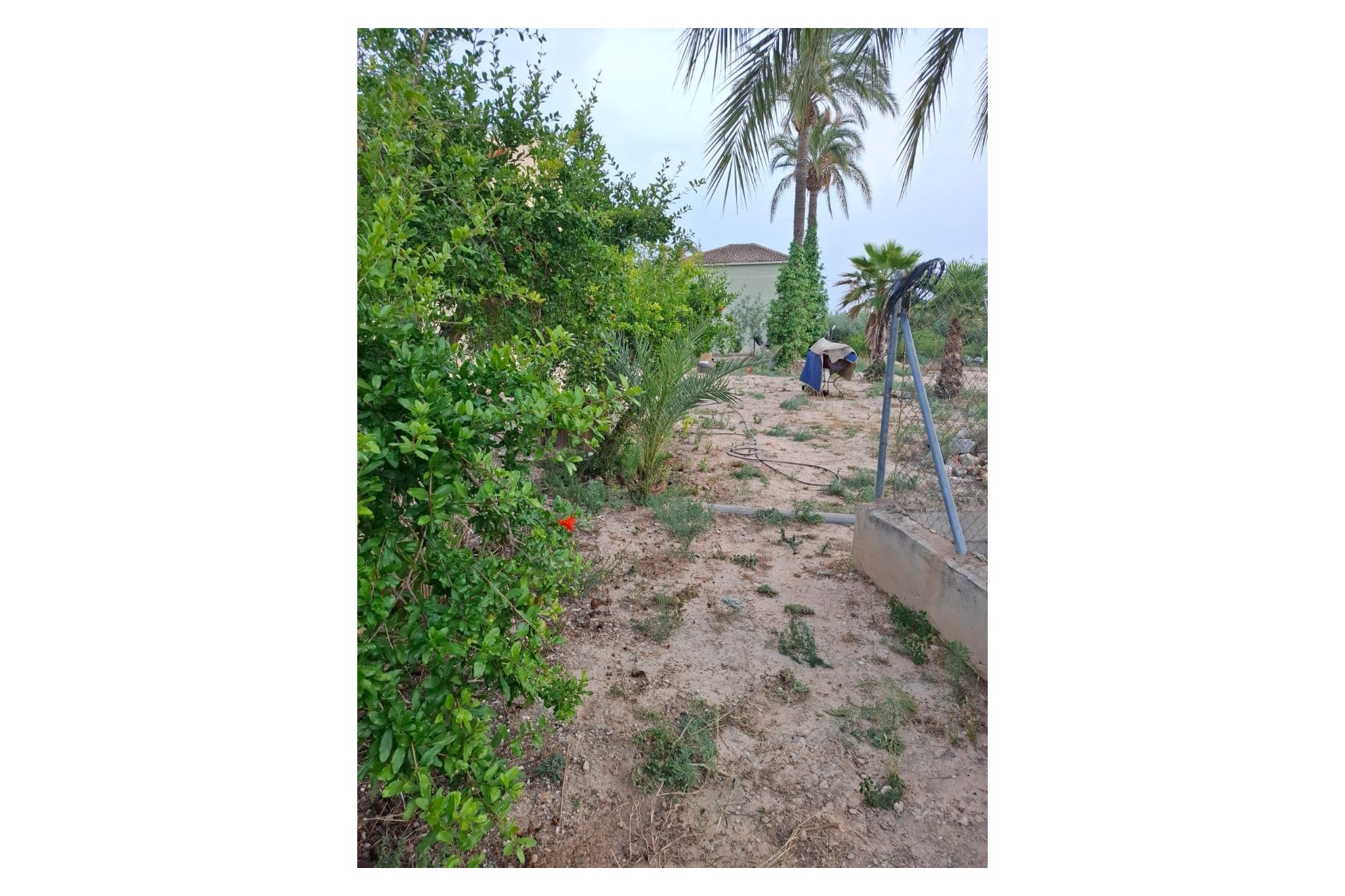 Venta - Casa de pueblo - Elche Pedanías - Matola